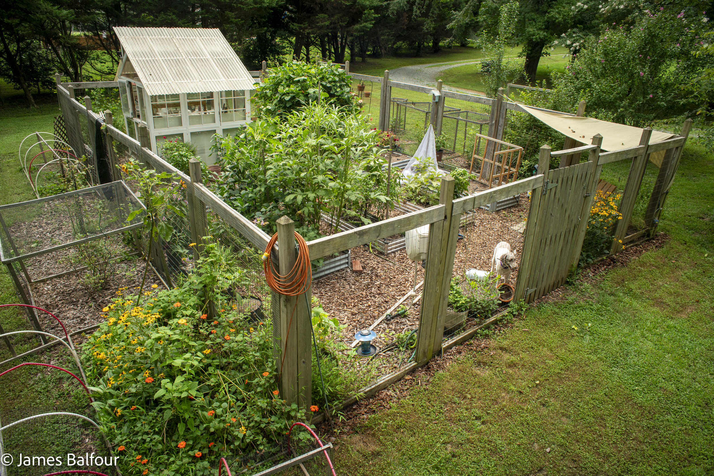 Summer Garden (High Angle) And More